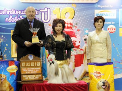 TH.CH.HEARTYS GOSSIP GIRL