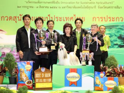 KORAT DOGS CLUB CHAMPIONSHIP SHOW 2011(AB1)