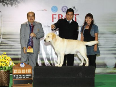 TH.CH.NAGAS'S HOCKEY