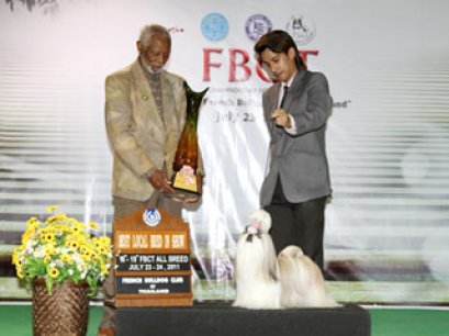 TH.CH.HEARTY'S GOSSIP GIRL