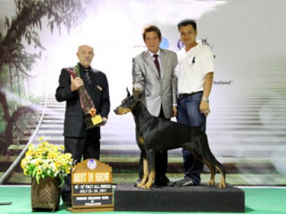 TH.CH.HALLEY DE BLACK SHADOW