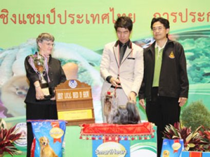 TH.CH.EXPANA'S LOVE ANGEL