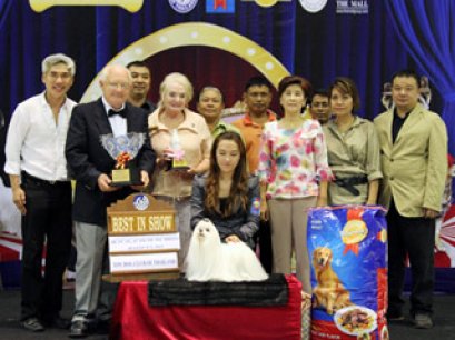 The Mall Toy Dog Championship Show 3/2011(AB2)