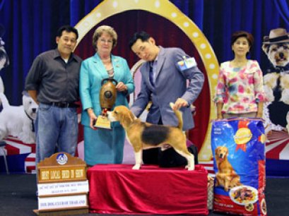 TH.CH.BOUGAIN'E SIMPLY ME GIGI