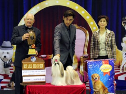 TH.CH.HEARTY'S GOSSIP GIRL