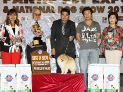 TH.CH.GOLDEN STARS THE HEAT IS ON