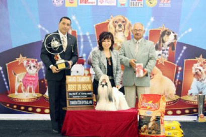 TERRIER CLUB AND PET PERFECT DOG SHOW 2011 (AB3)