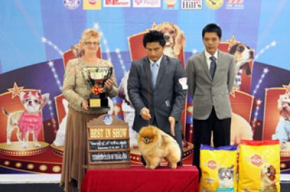 TH.KORCH.DEORE'S VIVA LA VIDA