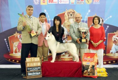 TH.CH.WYVERN'S DREAM N'T RING