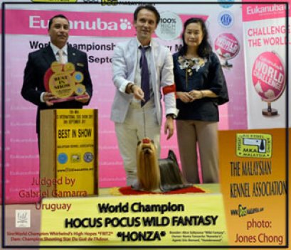 Congratulations.. HONZA