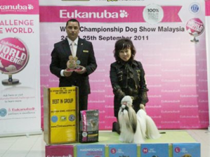 Congratulations..Heartyshihtzu