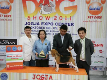 Congratulations Best in Show XingFu-Beagle Thaland
