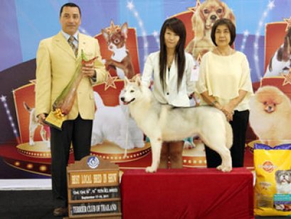 TH.CH.WYVERN'S DREAM N'T RING