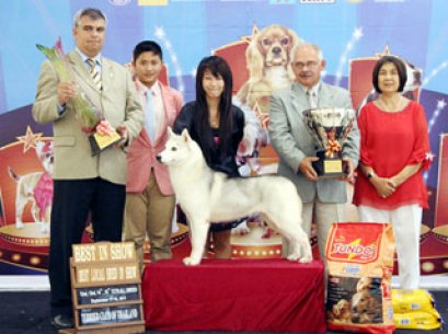 TH.CH.WYVERN'S DREAM N'T RING