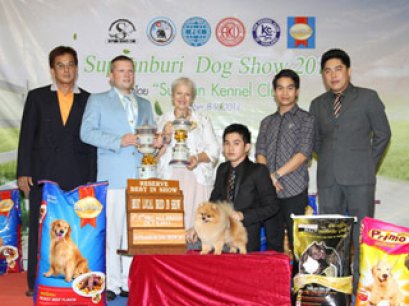 TH.CH.FAMILY POM'S DOLLARS