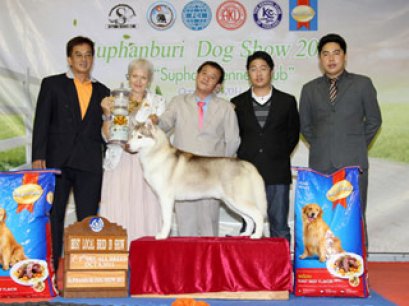 TH.CH.ANAKIN'S CHASING RAINBOWS