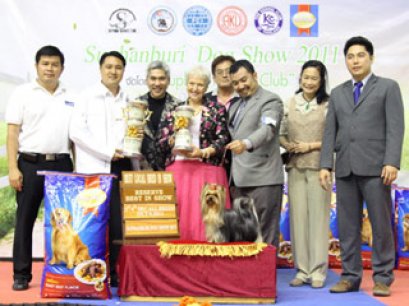 TH.CH.NANETTE'S OCTOBER SAND DUNE