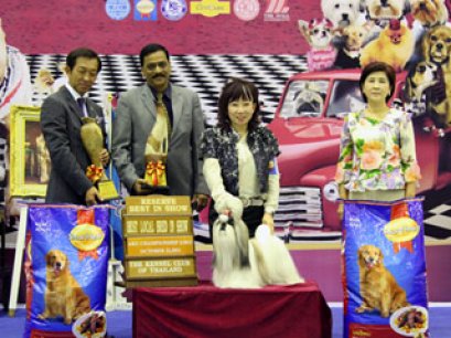 TH.GR.CH.AM.CH.HEARTY'S FORGET ME NOT