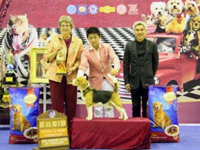 TH.GRAND CH.CAESAR'S SUPER DANCE