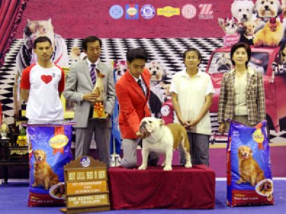 TH.CH.FELLOW'S PRETTY PATTY SENSATION OF LOVE