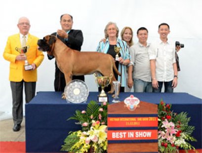 Bullmastiff จากประเทศไทย