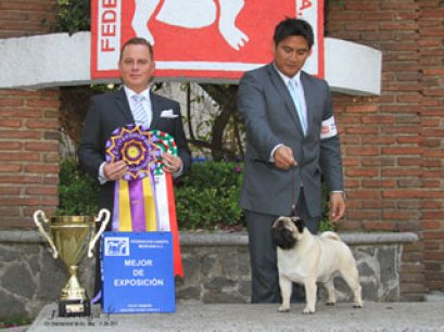 Inscripción Circuito Internacional Invierno 2011