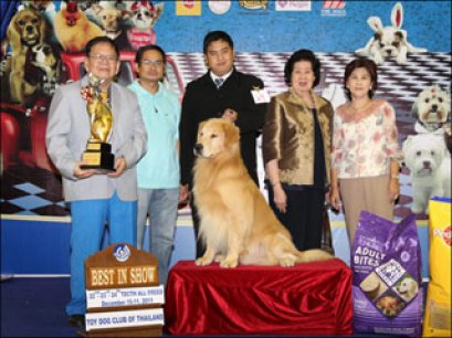 TH.GCH.CHI.CH.JOV CHI.ARMANI DE AZPEITIA