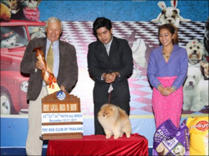 TH.CH.MASTERPOMS TO SUCCEED