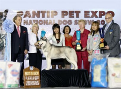 Top Best in Show 2011