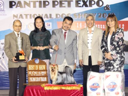 TH.CH.NANETTE'S OCTOBER SAND DUNE