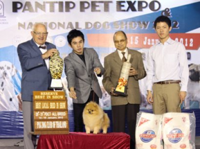 TH.CH.FAMILY POM'S DOLLARS