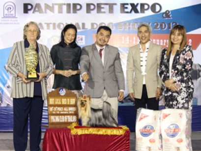 TH.CH.NANETTE'S OCTOBER SAND DUNE