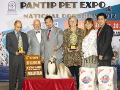 TH.CH.CENTURY'S MY GOLDEN DREAM