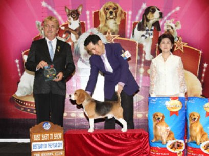 Best Baby Of The Year 2011