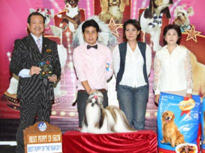 Best Puppy Of The Year 2011