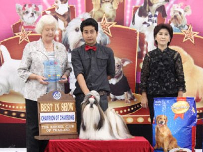 Champion Of Champions Of The Year 2011