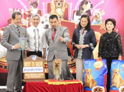 Best Local Bred Of The Year 2011