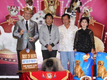 Best Dog Of The Year 2011