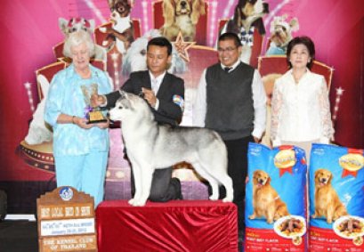 TH.CH.DREAM CHASER'S QUADRIVIUM QUEST 4 SPARTA