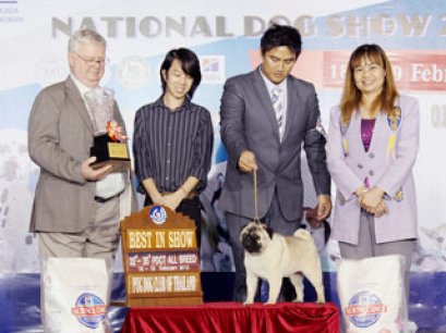 TH.CH.LOS CHATOS DEL TURIA MR BILL STILL LIVES