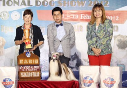 TH.CH.CENTURY'S MY GOLDEN DREAM