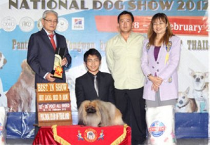 INT.TH.CH.SW'S MR. GORGEOUS