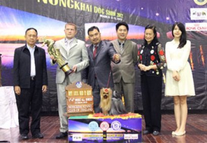 TH.CH.NANETTE'S OCTOBER SAND DUNE