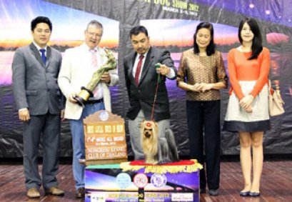 TH.GRAND CH.NANETTE'S OCTOBER SAND DUNE