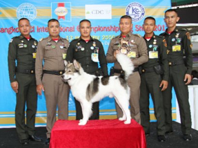 บางแก้วสุนัขทรงเลี้ยงในสมเด็จพระบรมโอรสาธิราชฯ สยามมกุฎราชกุมาร