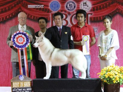 TH.CH.NANDO'S BODACIOUS