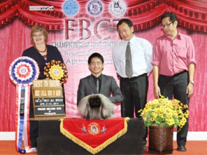 TH.GRAND.CH.SW.'S ROCK THIS TOWN