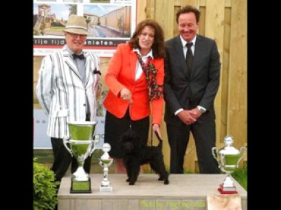 Champagne Charly สุนัขเจ้าของคนไทย คว้ารางวัล Best in Show