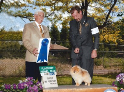 congratulations Suceed won Group1 in USA.