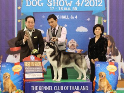 AM.CH.IRVINEVALLY'S CALAHARI KIMBALL OF A24E